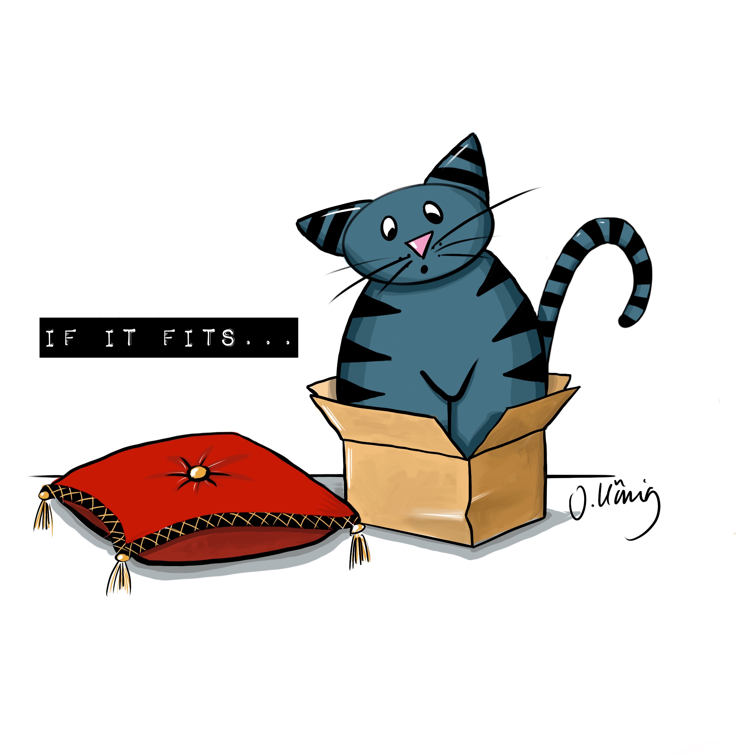 If it fits